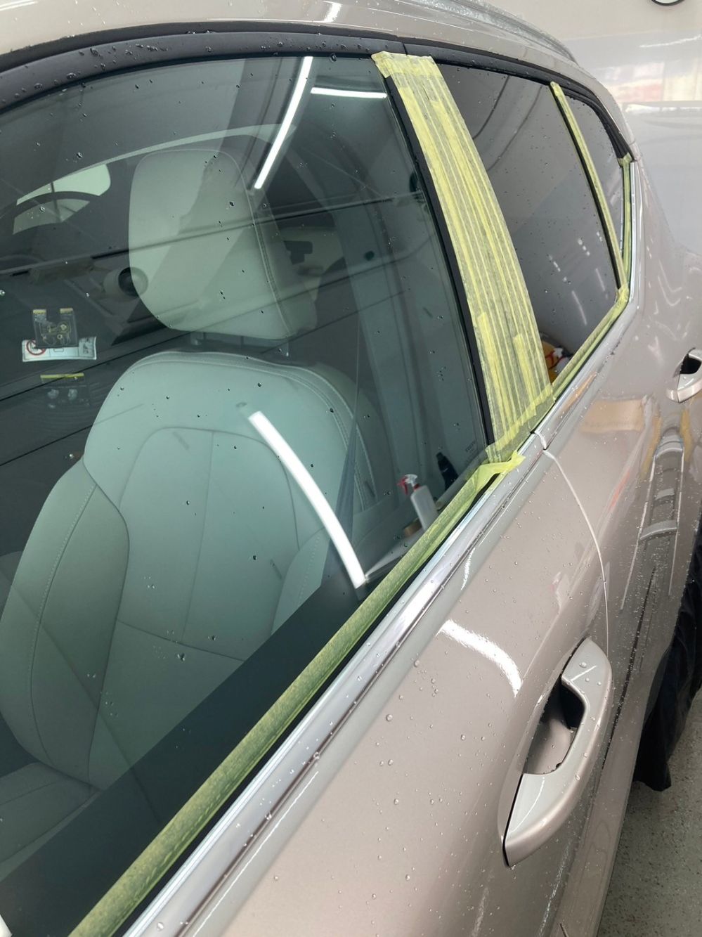 モールプロテクション