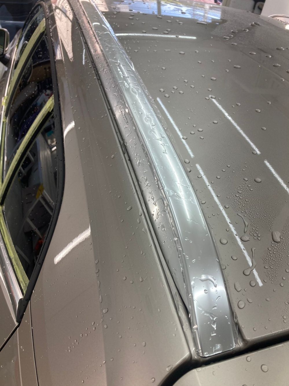 モールプロテクション