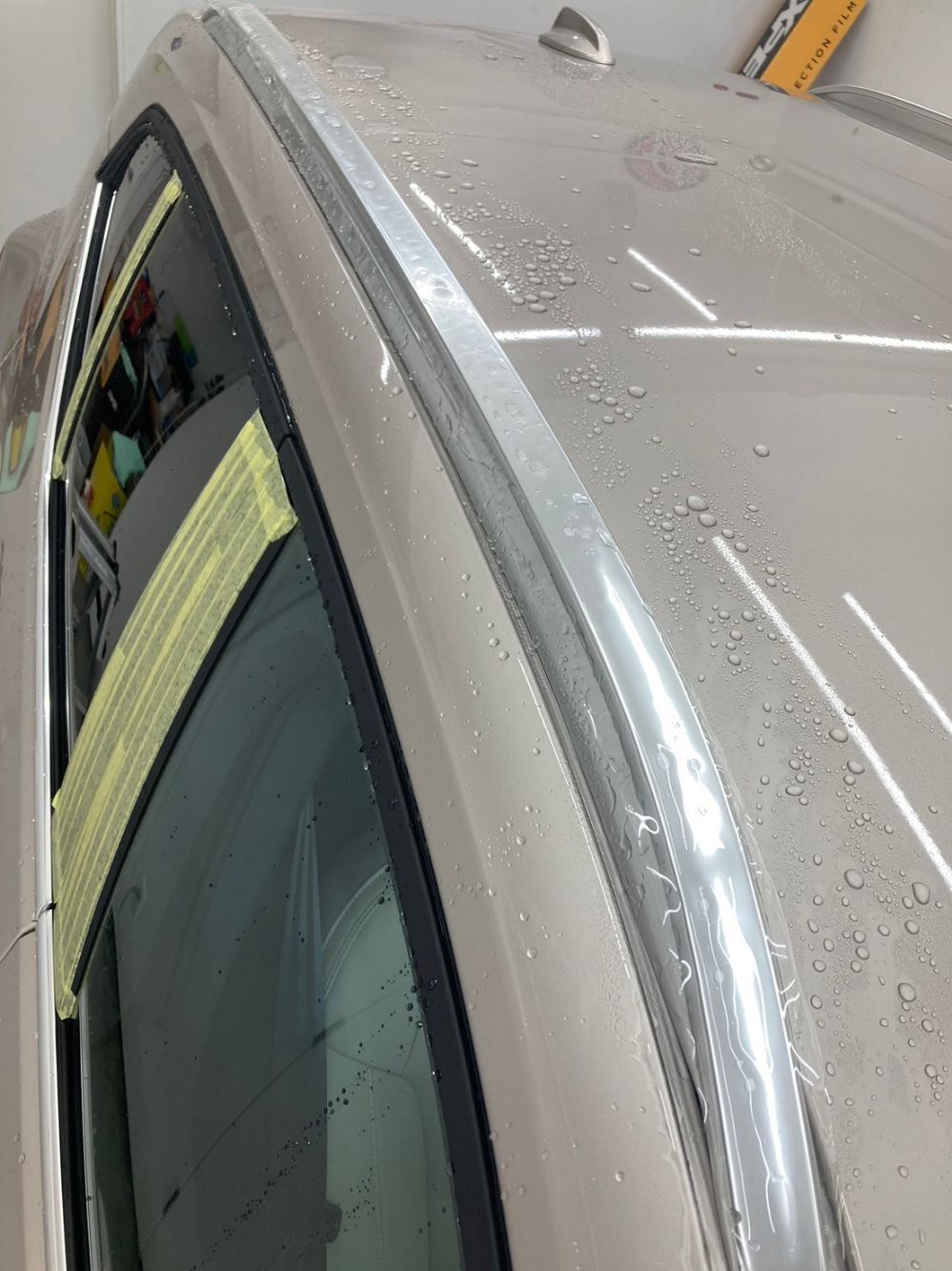 モールプロテクション